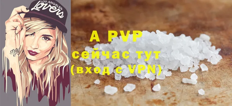 A-PVP СК  Старая Русса 