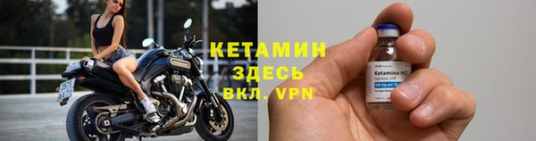 СК Новодвинск