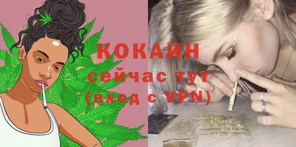 дмт Нязепетровск