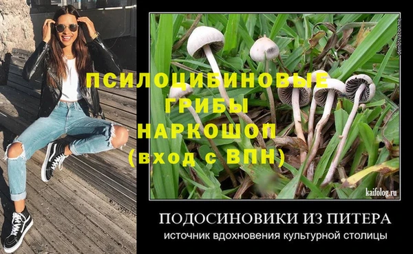 гидропоника Нягань