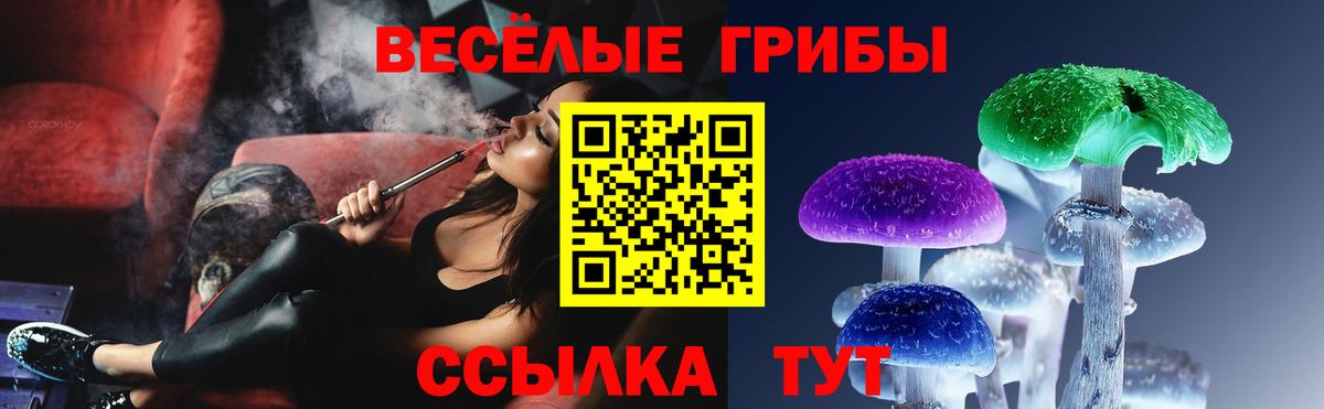 Псилоцибиновые грибы GOLDEN TEACHER Старая Русса